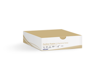 Scatola del test su sfondo bianco