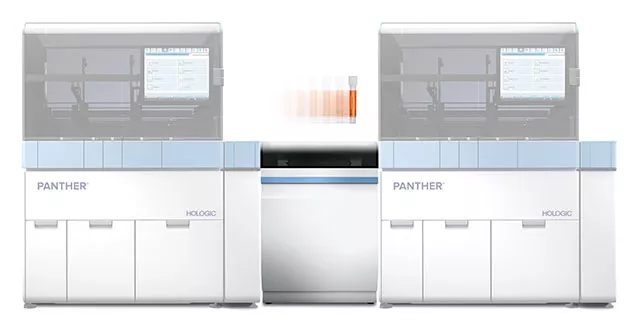 Panther Trax su sfondo bianco