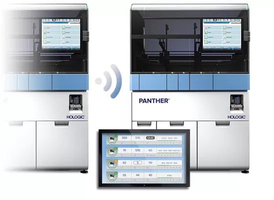 Panther Link su sfondo bianco